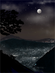 Second PrizeArtworks359